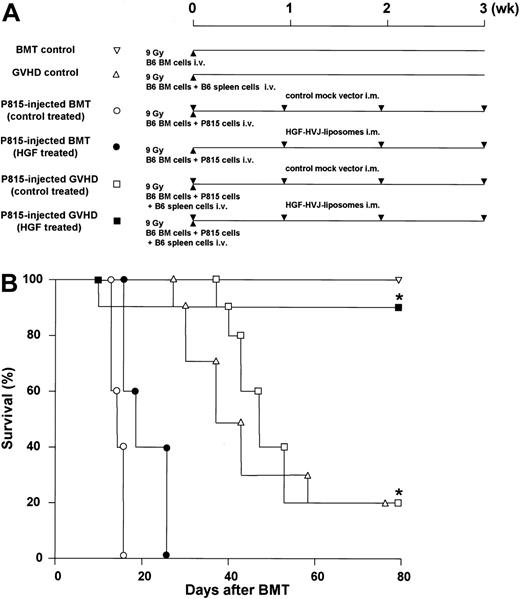 Figure 1. Reduction of GVHD and preservation of GVL activity. (A) Experimental protocol. BDF1 recipients received TBI (9 Gy) followed by intravenous injection of TCD B6 bone marrow cells (5 × 106) and P815 cells (104) on day 0. In addition, some recipients received B6 spleen cells (2.5 × 107) on day 0. BDF1 recipients that received TCD B6 bone marrow cells without P815 cells were used as BMT controls. BDF1 recipients that received TCD B6 bone marrow cells and B6 spleen cells without P815 cells were used as GVHD controls. HVJ liposomes containing 8 μg human HGF cDNA or a mock vector were injected intramuscularly on days 0, +7, +14, and +21 of BMT. (B) The survival of HGF-treated GVHD recipients was significantly better than that of all other groups. Shown are BMT controls (▿, n = 5); GVHD controls (▵, n = 5); P815-injected BM transplant (control treated) (○, n = 5); P815-injected BM transplant (HGF treated) (▪, n = 5); P815-injected GVHD (control treated) (□, n = 10); P815-injected GVHD (HGF treated) (▪, n = 10). *P < .01 for survival of P815-injected GVHD (control treated) versus P815-injected GVHD (HGF treated). Representative data from 2 similar experiments are shown.