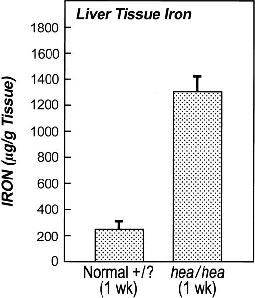 Figure 4. Liver tissue iron stores in hea mice are overloaded compared with normal littermates. Livers from 1-week-old hea and normal littermates were isolated and nonheme tissue iron was measured. Tissue iron levels in livers from hea mice were 400% higher than in normal littermates. Error bars indicate SEM.