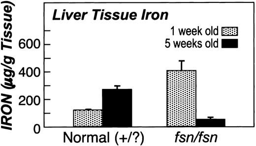 Figure 6. Age-dependent loss of liver tissue iron stores in fsn mice. Age-dependent loss of tissue iron stores is seen in fsn mice as iron stores are elevated in 1-week-old pups and are lost from adult fsn mice at 5 weeks of age. Conversely, normal littermates show an elevation of liver tissue iron stores. Error bars indicate SEM.