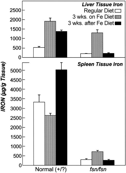 Figure 7. Loss of tissue iron stores in fsn mice after removal of supplemented iron diet. Tissue iron levels in liver (top) are elevated in fsn and normal adult littermates while on a 2% supplemented iron diet compared with iron stores in mice on a regular diet. Liver tissue iron levels drop significantly in fsn mice after the iron diet is eliminated, whereas normal mice maintain iron overloading. Spleen tissue iron (bottom) in adult fsn mice on a 2% iron-supplemented diet is significantly lower than that found in normal adult littermates. Loss of spleen iron stores is seen for fsn mice when the iron diet is removed, whereas normal mice remain with highly elevated iron in spleen tissue. Error bars indicate SEM.
