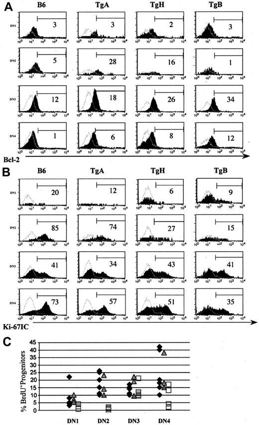 Figure 4. IL-7 up-regulates Bcl-2 in T-cell–committed progenitors in all 3 Tg lines and decreases their proliferation only at high IL-7 overexpression. Mice (6 weeks old) derived from all 3 Tg+ lines and normal control mice were studied for Bcl-2 (A) and Ki-67 (B) expression in DN1 to DN4 progenitors. Panels A-B show 1 of 4 representative experiments. Shaded histograms indicate the marker of interest; and open histograms, the negative isotype controls. Thymocyte progenitor proliferation was also determined by in vivo BrdU incorporation in 6- to 8-week-old TgA, TgB, and normal control mice (C). Panel C shows the percentage of BrdU+ cells in DN1 to DN4 in all 5 experiments. ♦ represents normal B6, represents TgA, and □ represents TgB mice.