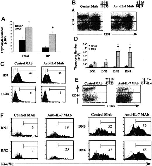 Figure 7. Injection of anti–IL-7 MAb (M25) induces a partial reversal of the phenotypic abnormalities observed on early and late thymic development. After 10 injections of 1 mg anti–IL-7 MAb (M25) or its isotype control (CC57), 3 mice from each group were killed 2 to 3 days after the last injection. (A) Total thymocytes and DP counts in the groups injected with M25 and CC57, respectively. (B) Modification of CD4/CD8 profile percentages after anti–IL-7 MAb injection. (C) Appearance of DP cells with normal maturation markers. The shaded areas represent the marker of interest, and the open areas represent the negative control. The percentage of positive cells for each marker is shown. Increase of absolute numbers (D) and percentages (E) of the T-cell committed progenitors DN3 and DN4 after anti–IL-7 MAb injection compared with control group mice. Error bars indicate SEM. (F) Enhancement of DN1, DN2, and DN4 cell proliferation by Ki-67 IC staining after injection of anti–IL-7 MAb in one representative experiment. +P < .05. The shaded histograms show the marker of interest; and the open histograms, the negative isotype controls. The number beneath each bracket represents the percentage of positive events.