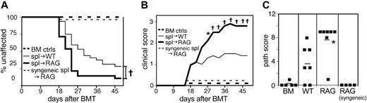Figure 1. Lymphocyte-deficient (RAG2-/-) recipients have accelerated cGVHD with greater penetrance and severity. Combined data from 3 experiments. On day 0, recipient mice were lethally irradiated and reconstituted with 8 × 106 B10.D2 BM cells alone (n = 19, all recipient types) or BM plus B10.D2 107 spleen cells: WT (n = 32), RAG2-/- (n = 28). In a separate experiment, RAG2-/- recipient mice were lethally irradiated and reconstituted with 8 × 106 syngeneic (BALB/c) BM plus 107 syngeneic (BALB/c) spleen cells (n = 9). (A) Incidence of cGVHD. †P < .01 for RAG2-/- recipients compared with WT recipients. (B) Average clinical disease score for mice affected with cGVHD (unaffected mice are excluded). *P < .05, †P < .01 for RAG2-/- recipients compared with WT recipients. BM control mice and RAG2-/- recipients of syngeneic cells did not get cGVHD and are represented on the graph as scoring “0.” (C) Pathology score for representative mice. Mean score is indicated by a horizontal bar. *P < .05 for RAG2-/- recipients compared with WT recipients. Pathology samples were taken on day 24, 33, or 50.