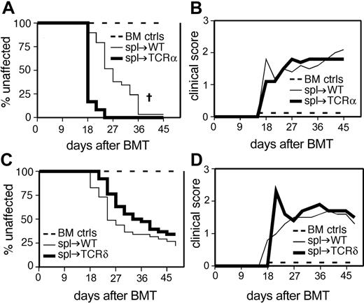 Figure 2. αβ T-cell–deficient recipients but not γδ T-cell–deficient recipients have an increased incidence of cGVHD. (A) Incidence of cGVHD in αβ T-cell–deficient recipients. Combined data from 2 experiments. On day 0, recipient mice were lethally irradiated and reconstituted with 8 × 106 BM cells alone (n = 10, both recipient types) or BM plus 107 spleen cells: WT (n = 29), TCRα-/- (n = 12). †P < .01 for TCRα-/- recipients as compared with WT recipients. (B) Clinical disease in αβ T-cell–deficient recipients. Average clinical score for mice affected with cGVHD (unaffected mice are excluded). BM control mice did not get cGVHD and are represented on the graph as scoring “0.” (C) Incidence of cGVHD in γδ T-cell–deficient recipients. Combined data from 3 experiments. On day 0, recipient mice were lethally irradiated and reconstituted with 8 × 106 BM cells alone (n = 28, both recipient types) or BM plus 107 spleen cells: WT (n = 41), TCRδ-/- (n = 38). (D) Clinical disease in γδ T-cell–deficient recipients. Average clinical score for mice affected with cGVHD (unaffected mice are excluded). BM control mice did not get cGVHD and are represented on the graph as scoring “0.”