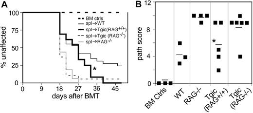 Figure 3. Increasing recipient TCR clonotypic variety reduces penetrance and severity of cGVHD. Combined data from 2 experiments. On day 0, recipient mice were lethally irradiated and reconstituted with 8 × 106 BM cells alone (n = 29, all recipient types) or BM plus 107 spleen cells: WT (n = 29), DO11.10 (RAG2+/+) (n = 12), DO11.10 (RAG2-/-) (n = 18), RAG2-/- (n = 16). (A) Incidence of cGVHD. *P < .05 for DO11.10 (RAG2+/+) versus WT and versus RAG2-/-; P = .094 for DO11.10 (RAG2+/+) versus DO11.10 (RAG2-/-). (B) Pathology score for representative mice. Mean score is indicated by a horizontal bar. *P < .05 for DO11.10 (RAG2+/+) versus DO11.10 (RAG2-/-) and versus RAG2-/-. Pathology samples were taken on day 24, 28, or 50.