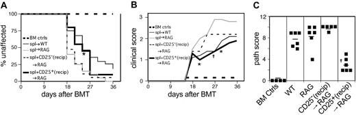 Figure 4. Reconstitution of RAG2-/- recipients with host-type CD4+CD25+ T cells reduces penetrance and severity of clinical cGVHD. (A) Incidence of cGVHD. Combined data from 2 experiments. On day 0, recipient mice were lethally irradiated and reconstituted with 8 × 106 BM cells alone (n = 18, both recipient types) or BM plus 6 × 106 WT spleen cells (n = 27). RAG2-/- recipients received BM + spl with either 106 freshly purified BALB/c CD4+CD25- T cells (spl + CD25-, n = 19) or 106 freshly purified BALB/c CD25+ T cells (spl + CD25+, n = 20). *P < .05 for RAG2-/- spl + CD25+ versus RAG2-/- BM + spl. (B) Average clinical disease score for mice affected with cGVHD (unaffected mice are excluded). *P < .05, †P < .01 for RAG2-/- spl + CD25+ compared with RAG2-/- BM + spl. BM control mice did not get cGVHD and are represented on the graph as scoring “0.” (C) Pathology scores for representative mice. Mean score is indicated by a horizontal bar. †P < .01 for RAG2-/- spl + CD25+ compared with RAG2-/- BM + spl, RAG2-/- spl + CD25-/-, or WT. Pathology samples were taken on day 26, 34, or 50.