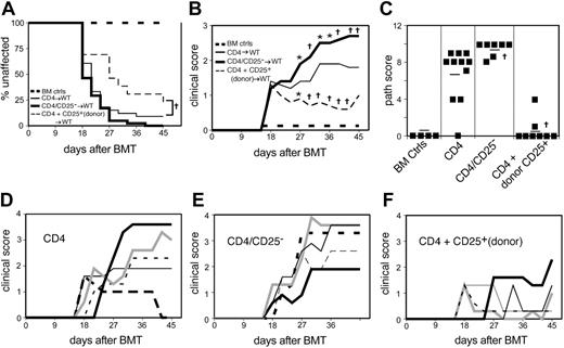 Figure 5. Donor CD4+CD25+ cells affect cGVHD. Combined data from 3 experiments. On day 0, WT recipient mice were lethally irradiated and reconstituted with 8 × 106 BM cells alone (n = 15), BM plus 1.5 × 106 to 2 × 106 (unfractionated) CD4+ T cells (CD4) (n = 33), BM plus 1.5 × 106 to 2 × 106 CD25-depleted CD4+ T cells (CD4/CD25-) (n = 41), or BM plus 1.5 × 106 to 2 × 106 (unfractionated) CD4+ cells plus 3 × 105 CD4+CD25+ T cells (CD4 + CD25+) (n = 13). (A) Incidence of cGVHD. †P < .01 for CD4 + CD25+ versus CD4. (B) *P < .05, †P < .01 for CD4/CD25- or CD4 + CD25+ recipients compared with CD4. BM control mice did not get cGVHD and are represented on the graph as scoring “0.” (C) Pathology score for representative mice. Mean score is indicated by a horizontal bar. †P < .01, CD4/CD25- or CD4 + CD25+ as compared with CD4. Pathology samples were taken on day 33 or 45. (D-F) Clinical scores for individual mice; 5 representative mice per group (D) CD4, (E) CD4/CD25-, and (F) CD4 + CD25+. Each line represents an individual mouse, and lines are given at varying patterns for clarity.
