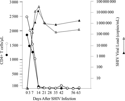 Figure 1. CD4+ T-cell counts and SHIV viral loads in 2 representative animals in group II. CD4+ T-cell counts (circles) and SHIV viral loads (triangles) from Mm255-96 (filled symbols) and Mm343-96 (open symbols) are shown.