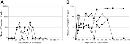 Figure 3. Rhesus LCV DNA viral loads in peripheral blood mononuclear cells after experimental infection. (A) Animals in group I: Mm144-97 (▪), Mm141-97 (▴) (B) Animals in group II: Mm165-97 (•), Mm255-96 (▪), Mm166-97 (▴).