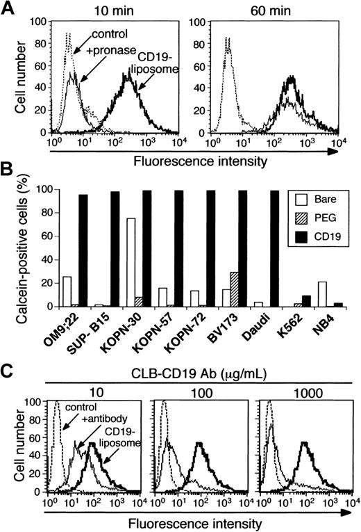 Figure 1. Binding and internalization of Cal-CD19-liposomes. (A) Binding and internalization by SUP-B15 cells. Cells were incubated with Cal-CD19-liposomes at 37° C for 10 (left) or 60 (right) minutes and were analyzed by FCM to detect calcein fluorescence. In addition, cells were treated with (thin solid line) or without (bold line) pronase to remove surface-bound liposomes. When those liposomes were internalized into the cells, calcein fluorescence was expected to remain. Untreated cells were used as a negative control (broken line). (B) Internalization efficiency of liposomes by Ph+ ALL cell lines. These cell lines were incubated with Cal-bare-, Cal-PEG-, or Cal-CD19-liposomes at 37°C for 60 minutes and treated with pronase. The rate of calcein-positive cells was determined by FCM. (C) Blocking of Cal-CD19-liposome internalization into SUP-B15 cells by CLB-CD19 antibody. SUP-B15 cells were incubated with 10 (left), 100 (middle), or 1000 (right) μg/mL unlabeled CLB-CD19 antibodies at 37°C before incubation of the Cal-CD19-liposomes. Thereafter, cells were treated with pronase and assessed by FCM (thin solid line). Untreated cells (broken line) and cells not treated with CLB-CD19 antibody (bold line) were used as negative and positive controls, respectively.