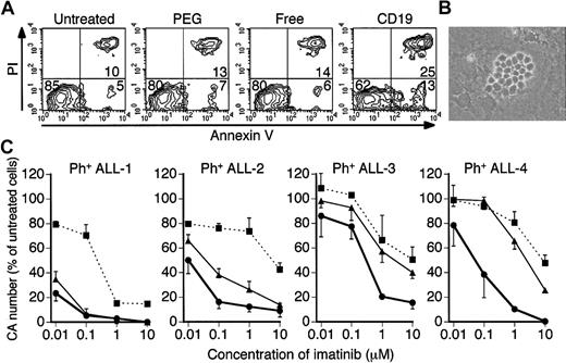 Figure 5. Effect of imatinib-encapsulated liposomes on primary Ph+ ALL cells. (A) Apoptosis of Ph+ ALL-3 cells determined by Annexin V assay. Cells were cultured with the indicated imatinib-encapsulated liposomes or free imatinib for 48 hours. The numbers in the graphs indicate the percentage of cells in each quadrant. (B) CA formation of primary leukemia cells from Ph+ ALL-1 patients on day 17. Primary leukemia cells were cocultured with mouse stromal cells, and cobblestone areas were formed about 2 weeks after the start of coculture (original magnification × 100). The image was acquired using an inverted microscope (Diaphot TMD300; Nikon, Tokyo, Japan) with a digital camera (DXM1200, Nikon). The type of objective lens was Plan 10 DL (Nikon), and the numerical aperture was 0.30. The acquisition and subsequent processing software were ACT-1 (Nikon) and Adobe Photoshop 5.0 (Adobe Systems), respectively. (C) Inhibition of the formation of CAs derived from primary leukemia cells from 4 patients. Cells were treated with imatinib-CD19-liposomes (bold line), imatinib-PEG-liposomes (broken line), or free imatinib (thin solid line), and CAs were counted 14 to 17 days after the start of coculture. The numbers of CAs are indicated as the percentage of CA formed in each group compared with those formed by untreated primary leukemia cells. Data represent means ± SDs of triplicate experiments.