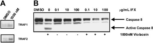 Figure 4. Scaffold assembly of TNFR1 complex and caspase 8 activation after violacein treatment. (A) TNFR1 was immunoprecipitated from HL60 cells and then lysates were subjected to Western blot to detect interacting proteins. (B) Cellular lysates were extracted from HL60 cells treated with 1000 nM violacein, infliximab (IFX; 0.1, 10, and 100 μg/mL) or violacein plus infliximab. Western blot analysis was performed to assess the processing of caspase 8.