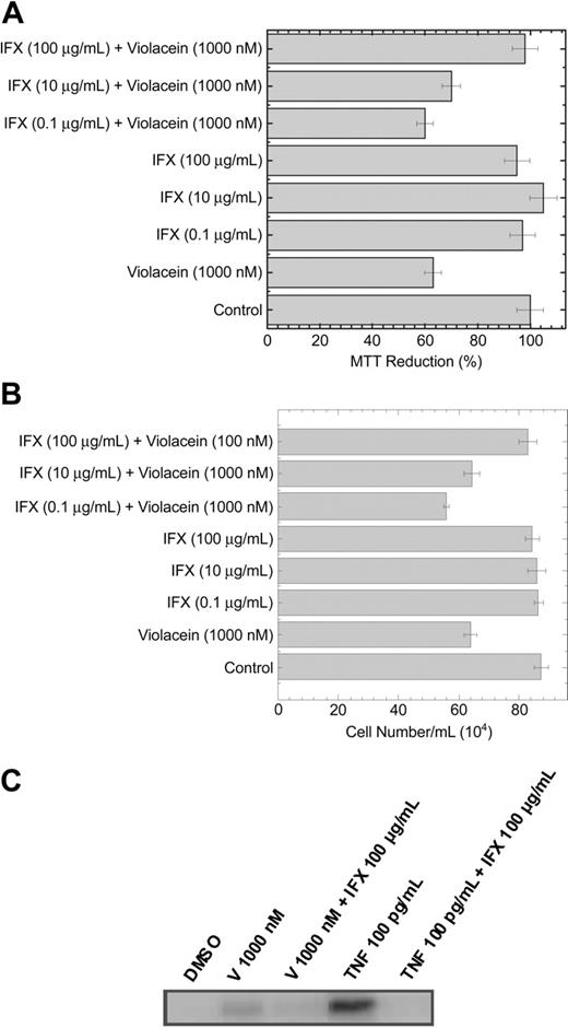 Figure 5. Cytotoxicity and activation of caspase 3 on HL60 cells by violacein is prevented by infliximab. The graphs show the effects of violacein and IFX on and MTT reduction (A) and cell number (B). In the absence of compounds, the MTT reduction was considered as 100%. All experiments were performed in a 24-well plate. Results represent the means ± standard error of 3 experiments run in triplicates (P < .05). (C) Cellular lysates were extracted from HL60 cells treated with 1000 nM violacein (V), V 1000 nM + IFX 100 μg/mL, TNF 100 pg/mL, or TNF 100 pg/mL + IFX 100 μg/mL. Western blot analysis was performed to assess the active caspase 3.