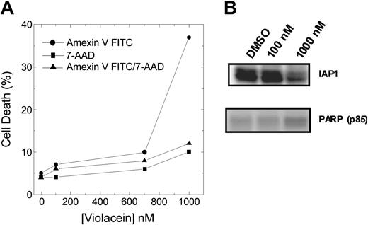 Figure 6. Effect of violacein on HL60 cells apoptosis induction. (A) Cell samples were prepared as described in “Materials and methods,” and Annexin V–positive, 7-AAD–positive, and Annexin V/7-AAD–positive populations were analyzed by flow cytometry. (B) Western blot analysis was performed to assess IAP1 and fragmented PARP (p85) levels.