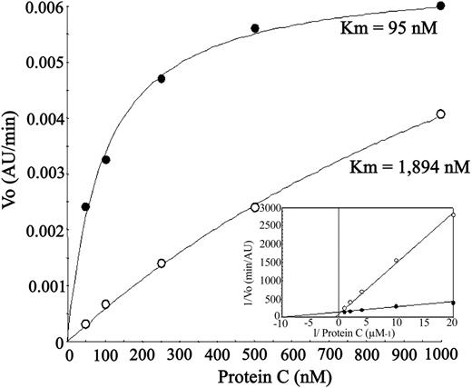 Figure 3. Effect of patient C anti-EPCR autoantibody on kinetic parameters of APC generation by endothelial cells. Thrombin-catalyzed protein C activation on EA.hy926 cells measured in the absence (•) or presence (○) of patient C IgM fraction at 45 μg/mL. The Km for each condition is indicated. The Lineweaver-Burk plot in the inset shows that the Vmax in both conditions is essentially equal.