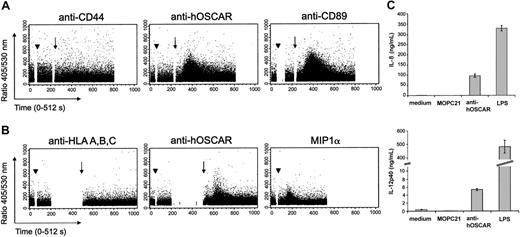 Figure 4. Cross-linking of hOSCAR triggers calcium flux mobilization in myeloid cells. Human serum–saturated monocytes (A) or mono-DCs (B) were loaded with Indo-1 am, and the rise in intracellular Ca2+ was analyzed on FACStarPlus flow cytometer, by recording in real-time the 405/530-nm fluorescence ratio. Monocytes were incubated (arrowhead) at 37° C with anti-CD44 and anti-CD89 mAbs, as negative and positive controls, respectively. Mono-DCs were incubated (arrowhead) at 37° C with anti–HLA-A, -B, -C mAbs and recombinant human MIPα, as negative and positive controls, respectively. The 405/530-nm ratio was recorded during the primary mAb binding. At set time points (arrow) goat F(ab′)2 anti-mouse was added to allow receptor cross-linking. Data shown are representative of 3 experiments. (C) Ligation of hOSCAR induces secretion of IL-8 and IL-12p40 by mono-DCs. Immature mono-DCs were stimulated by coated mAbs or LPS, as described in “Materials and methods.” After 24 hours, the levels of secreted IL-8 and IL-12p40 were tested by ELISA. Data shown are representative of 3 experiments and display the mean and standard deviation of 3 independent samples.