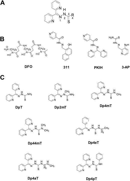Figure 1. Structural formulas of the Fe chelators described in this study. (A) General structure of the DpT analogs showing the numbering scheme used. (B) Structures of DFO, 311, 3-AP, and PKIH. (C) Structures of DpT, Dp2mT, Dp4mT, Dp44mT, Dp4eT, Dp4aT, and Dp4pT.