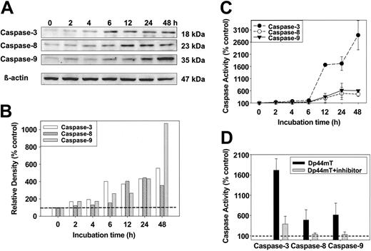 Figure 6. Effect of Dp44mT (1 μM) on the protein levels of active caspase-3, -8, and -9 and the activity of caspase-3, -8, and -9 in cultured M109 cells in the absence and presence of cell-permeable caspase inhibitors. (A) Caspase-3, -8, and -9 levels after Dp44mT treatment at the indicated times as detected by Western blotting (top blots). Anti–β-actin antibody was used to ensure equal protein loading (bottom blot). (B) Densitometric analysis of the expression of caspase-3, -8, and -9 as a function of time normalized to β-actin. (C) Caspase activity induced by Dp44mT (1 μM) at 0 to 48 hours was expressed as a percentage of the 0-hour time value. (D) Cell-permeable inhibitors of caspase-3, -8, or -9 at 1 μM prevented activation of these enzymes when incubated with Dp44mT (1 μM) for 48 hours. Results are mean ± SEM of 3 separate experiments. Horizontal dashed line indicates 100%.