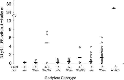 Figure 4. Engraftment of Ly5.1 cells into nonmyeloablated c-Mpl and KitWv mice. Levels of Ly5.1+ cells in the peripheral blood of nonmyeloablated mice injected 4 weeks prior with 106 B6-Ly5.1 bone marrow cells in individual mice (circles) and group means (horizontal bars). Engraftment level escalates with increasing numbers of loss-of-function c-Mpl or Kit alleles. tx indicates transplantation.