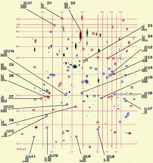 Matching image analysis for 2-DE. See the complete figure in the article beginning on page 1314.