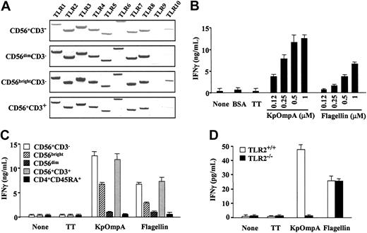 Figure 1. KpOmpA and flagellin directly activate human CD56+ cells. (A) TLR1-10 mRNA expression was evaluated using RT-PCR in highly purified human CD56+CD3-NK cells, CD56dim and CD56bright NK cells, and CD56+CD3+ cells. Results are representative of 1 of 2 donors. (B) NK cells were or were not stimulated with 0.12 to 1 μM KpOmpA or flagellin or with 1 mM BSA or TT as negative controls. IFN-γ was quantified in the 48-hour supernatants using ELISA. Results are expressed in ng/mL as mean ± SD (n = 3). (C) Total CD56+CD3-NK cells, NK cell subpopulations CD56bright and CD56dim, IL-2-cultured CD56+CD3+ cells, and naive CD4+CD45RA+ T cells were or were not stimulated with 1 μM KpOmpA, flagellin, or TT. IFN-γ was quantified in the 48-hour supernatants using ELISA. Results are expressed in ng/mL as mean ± SD (n = 3). (D) DX5+CD3-NK cells from wild-type C57BL/6 and TLR2-/- C57BL/6 mice were or were not stimulated with 1 mM KpOmpA, flagellin, or TT in the presence of 200 U/mL IL-2. IFN-γ was quantified in the 48-hour supernatants using ELISA. Results are expressed in pg/mL as mean ± SD (n = 3).