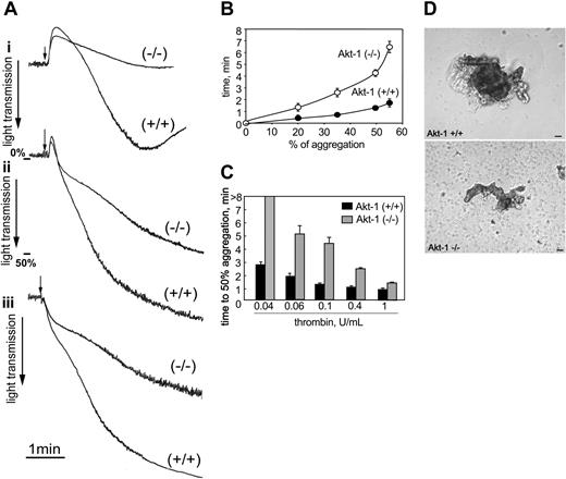 Figure 1. Platelet aggregation in response to thrombin. Platelet aggregation was stimulated with thrombin and optically monitored in a Lumi-Aggregometer. (A) Representative aggregation curves in response to thrombin at 0.04 U/mL (i), 0.1 U/mL (ii), and 0.4 U/mL (iii). Arrows indicate the points of agonist addition. (B) Time from the addition of 0.1 U/mL thrombin to 20%, 35%, 50%, and 55% aggregation in WT (•) and Akt-1-null platelets (○). Means ± SD of 3 independent experiments are shown. (C) WT and Akt-1-null platelets were stimulated with thrombin at 0.04, 0.06, 0.1, 0.4, and 1 U/mL. Bars represent means ± SD of time from addition of agonist to 50% aggregation from 3 independent experiments. (D) Platelets from WT and Akt-1 null mice aggregated by 0.1 U/mL thrombin were visualized using phase contrast microscopy (Leica) and photographed (Micromax). Scale bars equal 20 μm. Images were acquired using a Leica DMIRB phase contrast microscope, objective × 20, and a Micromax RTE/CCD-1300-V-HS camera.
