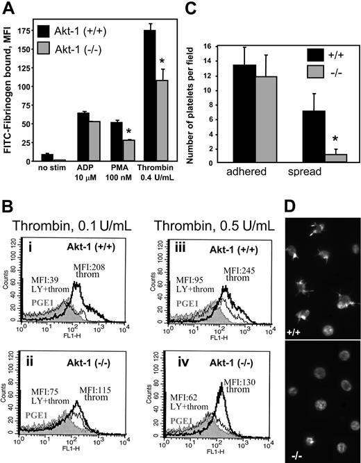 Figure 3. Fibrinogen binding and platelet adhesion. (A) Fibrinogen binding. Platelets were preincubated with ADP (10 μM), PMA (100 nM), and thrombin (0.4 U/mL). FITC-labeled fibrinogen was then added at a final concentration of 300 nM for 30 minutes and fibrinogen binding was analyzed by FACS. A total of 20 000 events per sample was recorded. Bars present MFI ± SD of triplicates from 2 representative experiments. (B) Fibrinogen binding in the presence of LY294002. Platelets from 3 pairs of WT (i,iii) and Akt-1 null (ii,iv) mice were stimulated with thrombin at 0.1 U/mL or 0.5 U/mL, respectively, in the presence or absence of LY294002 (80 μM). FITC-labeled fibrinogen at concentration of 300 nM was added. Fibrinogen binding was analyzed by FACS analysis and 10 000 events per sample were recorded. Gray profiles represent fibrinogen binding in the presence of PGE1; MFIs are shown in response to thrombin in the presence (thin lines) and the absence (thick lines) of LY294002, respectively. Similar results were obtained in an additional 2 experiments. (C-D) Platelet adhesion to collagen. Platelets were resuspended in calcium-free Tyrode buffer containing 2 U/mL apyrase. Platelet suspensions were added to coverslips coated with collagen at 20 μg/mL and incubated for 10 minutes at 37°C. Adherent platelets were fixed and stained with TRITC-phalloidin for actin. The adhesion was visualized and quantified by fluorescence microscopy. Bars present the mean number of platelets (means ± SD) for 6 fields of 3 independent experiments (C). The photograph illustrates adherent or spread platelets in the representative fields (D). * indicates significant difference between WT and Akt-1-null platelets (P < .05). Images were acquired using a Leica DMR fluorescence microscope with a × 100 objective lens, oil, and a × 1.6 zoom adaptor, and a Micromax RTE/CCD-1300-V/HS camera.