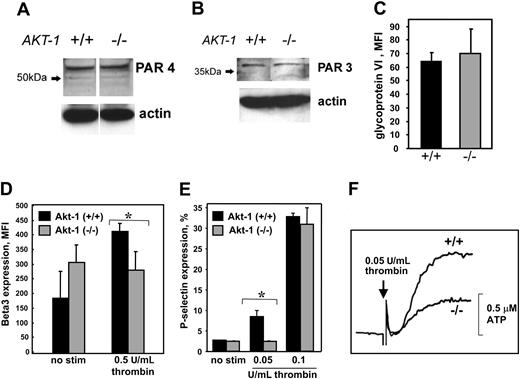 Figure 5. Expression of thrombin and collagen receptors, β3 integrin, and P-selectin, and ATP release. (A-B) Expression of thrombin receptors. Thrombin receptors PAR4 (A) and PAR3 (B) were detected by Western blot. (C) Expression of collagen receptor GPVI. Platelet suspensions were incubated with FITC-labeled anti-GPVI antibody for 15 minutes at room temperature. (D) Expression of β3 integrin. Gel-filtered platelets were incubated with or without thrombin at 0.5 U/mL for 15 minutes and then fixed. After washing, platelets were incubated with anti-β3 integrin antibody for 20 minutes followed by FITC-labeled secondary antibody. (E) P-selectin expression. Platelets were stimulated with or without thrombin at 0.05 U/mL or 0.1 U/mL for 5 minutes and then fixed. After washing, platelets were incubated with FITC-labeled P-selectin antibody for 20 minutes. For panels C-E, the samples were analyzed by flow cytometry; 20 000 events were recorded. Bars present mean ± SD from 3 independent experiments. *Significant difference between WT and Akt-1-null platelets (P < .05). (F) ATP release. The release of ATP was measured in gel-filtered platelets by a Lumi-Aggregometer type 500 VS using luciferin-luciferase. ATP served as the standard in all experiments. The addition of thrombin at a final concentration of 0.05 U/mL is indicated by the arrow (P < .05).