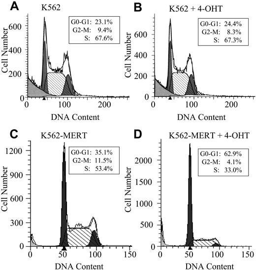 Figure 2. K562-MERT cells arrest in the G1/S phase of the cell cycle when Myb activity is inhibited. K562 (A-B) and K562-MERT (C-D) cells were cultured for 72 hours in the absence and presence of 1 μM tamoxifen. The DNA content in the PI-stained cells was measured by flow cytometry and analyzed by ModFitLT Mac V3 software. The first shaded peak is the G0/G1 phase and the second shaded peak is the G2/M phase of the cell cycle. The hatched area between the 2 peaks is the S phase of the cell cycle. The insert contains the percentages of the total cell population in each phase of the cell cycle.