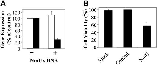 Figure 5. Silencing of NmU gene expression inhibits proliferation of human myeloid leukemia cells. (A) Total RNA from K562 cells nucleofected in the absence (–) and presence (+) of siRNA was isolated 24 hours after nucleofection, reverse transcribed, and amplified in triplicate using 18S RNA (□) or NmU (▪) primers and their corresponding TaqMan probes as described in “Materials and methods.” (B) Percent cell viability of K562 cells that were mock nucleofected, or nucleofected with control siRNA (Dharmacon), or NmU siRNA was determined by trypan blue exclusion 24 hours after nucleofection. Error bars indicate standard deviation.