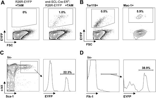 Figure 4. Flow cytometric analysis of EYFP expression in fetal liver cells. E14.5 fetal liver cells harvested from embryos after maternal tamoxifen (TAM) injections at E9.5 (0.5 mg), E10.5 (1 mg), and E11.5 (2 mg). (A) Tamoxifen-dependent recombination was detected in end-SCL-Cre-ERT;R26R-EYFP total fetal liver cells (range, 0.5%-3.3%), whereas no Cre activity was detected in fetal livers of R26R-EYFP embryos. Recombination efficiencies within different end-SCL-Cre-ERT;R26REYFP fetal liver cell populations: (B) Ter119+ (range, 0.3%-2.7%) and Mac-1+ (range, 2.4%-8.8%); (C) ckit+Sca-1+lineage- (range, 14.8%-27.5%); and (D) Flk-1+lineage- (range, 32.6%-48.1%). Indicated percentages represent means (n = 3). FSC indicates forward light scatter.