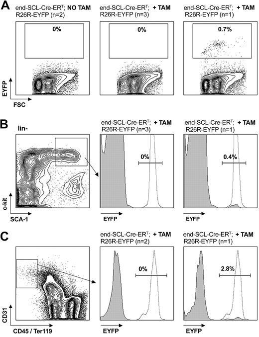 Figure 5. Flow cytometric analysis of EYFP expression in adult bone marrow cells. End-SCL-Cre-ERT;R26R-EYFP BM was harvested 6 weeks after 2 weeks of daily 2 mg tamoxifen (TAM) injections. (A) EYFP analysis within total adult BM. No Cre-mediated recombination was detected within BM of either untreated or in the majority of tamoxifen-treated mice. (B) EYFP expression within the c-kit+Sca-1+lineage- population. In 1 of 4 tamoxifen-treated mice, recombination was detected in total BM (A, right) as well as in the c-kit+Sca-1+lineage- population (B, right). (C) Additionally, we determined the activity of the end-SCL-Cre-ERT transgene in BM ECs (CD31+CD45-Ter119- population). In 2 of 3 mice, we could not detect any EYFP expression in BM endothelium. To demonstrate sufficient activity of the Rosa locus in the BM populations investigated, we analyzed CMV-Cre; R26R-EYFP BM as a positive control for EYFP expression. (B-C) Representative histograms (gray, end-SCL-Cre-ERT; R26R-EYFP; dotted, CMV-Cre; R26R-EYFP) are shown. Percentages indicate proportions of EYFP-positive cells of end-SCL-Cre-ERT; R26R-EYFP mice. FSC indicates forward light scatter.