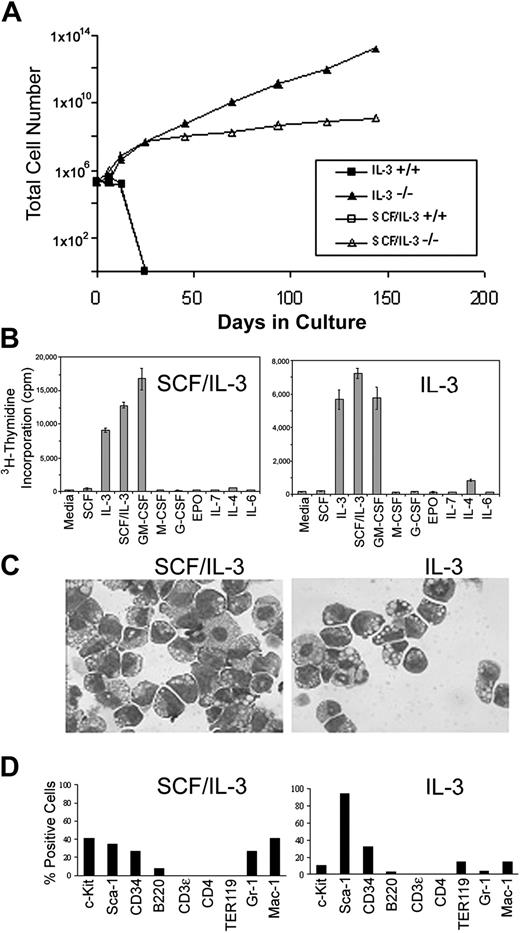 Figure 3. Establishment of SCF/IL-3- and IL-3-dependent cells from C/EBPα-/- FL in vitro. (A) C/EBPα+/+ and C/EBPα-/- FL cells were plated in cIMDM at 2 × 105 cells/mL in the presence or absence of IL-3 or IL-3 plus SCF. Total viable cell numbers were determined over time by trypan blue exclusion and hemocytometer counting. (B) SCF/IL-3-2 and IL-3B cells were plated in proliferation assays in the presence or absence of 100 ng/mL SCF, 30 ng/mL IL-3, 50 ng/mL GM-CSF, 100 ng/mL human IL-7 (Peprotech), 100 ng/mL human IL-6 (Peprotech), 5 U/mL human erythropoietin (EPO), 50 ng/mL G-CSF (Amgen), 100 ng/mL human M-CSF (Peprotech), 500 U/mL murine interferon α (IFNα; Biosource, Camarillo, CA), or 50 mg/mL IL-4 (Peprotech) according to the procedures outlined in “Materials and methods.” (C) Cytocentrifuge preparations of cell clones (SCF/IL-3-2 and IL-3B) derived from these cultures were stained with Giemsa, and bright field photomicrographs were obtained at magnification × 400. (D) The expression of lineage-specific cell surface antigens was measured with use of fluorochrome-labeled antibodies and flow cytometry according to the procedures outlined in “Materials and methods.” Percentage positive for each marker was obtained by subtracting the background fluorescence of an isotype matched control.
