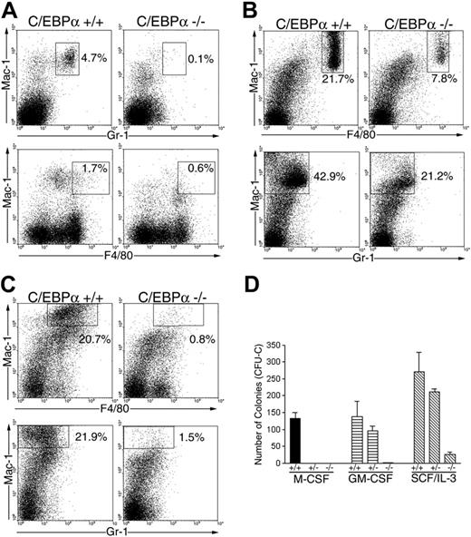 Figure 6. Role of C/EBPα in macrophage differentiation in vivo. C/EBPα+/+ and C/EBPα-/- FL cells were transplanted into lethally irradiated mouse recipients in combination with normal BMCs. Four to 6 months after transplantation, peripheral blood (A), PECs (B), and thioglycollate-elicited PECs (C) were analyzed by 3-color flow cytometry for donor-derived (Ly-5.1) granulocyte and macrophage with use of Gr-1, F4/80, and Mac-1 according to the procedures outlined in “Materials and methods.” (D) BMCs were obtained from mice that received transplants, and FACS was performed for donor-derived cells and plated in colony assays in the presence of the indicated cytokines according to the procedures outlined in “Materials and Methods.” These data are presented as the mean colony formation ± the SE and are representative of 2 separate experiments.
