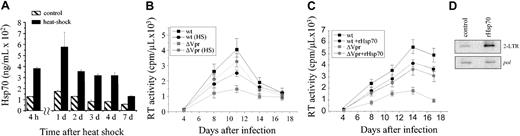 Figure 3. Analysis of Hsp70 effects on HIV-1 nuclear import and replication in macrophages. (A) Macrophages (1 × 106 cells) were subjected to mild heat shock (47°C, one hour) and then cultured for indicated time. Intracellular Hsp70 was measured by ELISA. Results are mean ± SE of triplicate cultures. (B) Macrophages subjected or not to heat shock (HS) were infected in triplicates with the wild-type (wt) or Vpr-deficient (ΔVpr) HIV-1 NLHXADA.36 Viral replication was assessed at the indicated time points by measuring RT activity in the culture supernatants. Results are mean ± SE of triplicates. (C) Triplicate macrophage cultures were infected with the wild-type (wt) or Vpr-deficient (ΔVpr) HIV-1 NLHXADA36 and cultured in the absence or presence of 100 ng/mL recombinant human Hsp70. Viral replication was assessed as in panel B, and results are presented as mean ± SE. (D) At 24 hours after infection of macrophage cultures with Vpr-deficient HIV-1 NLHXADAΔVpr,36 cells were lysed and assayed for 2-LTR– and pol-specific (a control for total HIV-1 DNA) DNA products by PCR.31 Results are representative of 2 independent experiments.