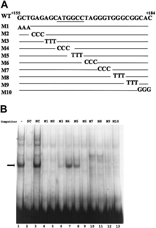 Figure 3. Mutational analysis of sequences +155 to +184. (A) The sequences of the wild-type and mutant oligonucleotides (M1-M10) corresponding to region +155 to +184 of the VWF promoter are shown. The base substitution mutations in each probe are shown, with the wild-type sequence represented as a line. (B) Gel mobility experiments were carried out with HUVEC nuclear extracts as described in Figure 2. The probes used in all samples were the wild-type oligonucleotide, and mutant oligonucleotides were used (100 × excess) as competitors. The - represents the lack of competitor. Arrow indicates the specific complex.