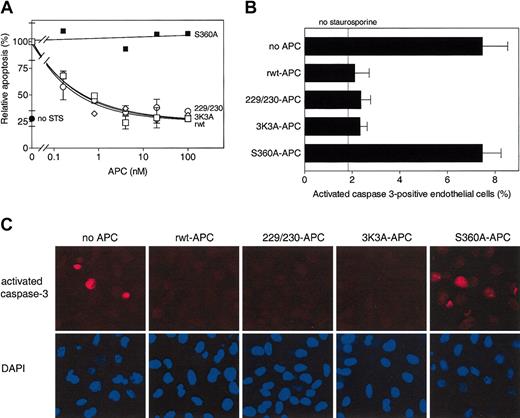 Figure 2. Antiapoptotic activity of rwt APC and anticoagulantly impaired APC variants. (A) Inhibition of staurosporine (STS)-induced apoptosis by APC (see “Materials and methods”). Percentage of apoptotic endothelial cells observed in the absence of added APC (18% of all cells) was taken as 100%. Each point represents the mean ± SEM from at least 3 independent experiments. □ indicates rwt APC; ○, 229/230-APC; ⋄, 3K3A-APC; ▪, S360A-APC; and •, no staurosporine. (B-C) Reduction of activated caspase-3-positive cells by rwt APC and APC variants (25 nM, 5 hours) upon induction of apoptosis by staurosporine (2 μM, 4 hours). (B) Activated caspase-3-positive cells expressed as a percentage of the total number of cells present. As indicated by the “no staurosporine” thin line, approximately 2% of the endothelial cells were positive for activated caspase-3 in the absence of staurosporine. Each bar represents the mean ± SEM of 2 to 4 independent experiments. (C) Immunofluorescence analysis of activated caspase-3-positive cells using an activated caspase-3 specific antibody (red) and DAPI nuclear staining (blue). Columns represent identical fields. Original magnification × 200.