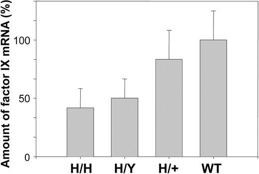 Figure 5. Expression of R333Q-hFIX. The concentrations of R333Q-hFIX in homozygous (H/H), hemizygous (H/Y), heterozygous (H/+), and wild-type (WT) mice are shown in μg/mL as assayed by ELISA using paired anti-hFIX polyclonal antibodies. The levels are homozygous, 1.1 ± 0.1 μg/mL (n = 4); hemizygous, 1.3 ± 0.1 μg/mL (n = 3); heterozygous, 0.3 ± 0.1 μg/mL (n = 6). Wild-type mouse factor IX is not detectable with this antibody. Data represent the mean ± SD.