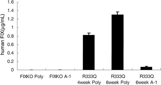 Figure 6. The alanine polymorphism is weakly detected by monoclonal antibody A-1. All mice in the figure are naive (untreated) mice. The left side of the figure shows that neither the polyclonal antibody (poly) nor monoclonal antibody A-1 demonstrates background factor IX reactivity in the knockout mouse. In the right side of the figure the first bar shows the level of factor IX detected by the polyclonal antibody in juvenile R333Q-hFIX mice (age 4 weeks). The second bar shows the level detected by the polyclonal antibody in adult mice (age 6 weeks). The third bar demonstrates the low cross-reactivity of A-1 for the alanine polymorphism of the factor IX expressed in the R333Q-hFIX mice (age 6 weeks). Data represent the mean ± SD.
