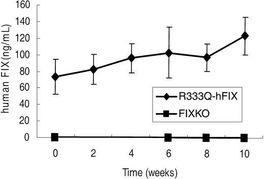 Figure 7. hFIX expression following gene therapy. Human factor IX in FIXKO (n = 5) and R333Q-hFIX (n = 6) mice before and after intramuscular rAAV2-CBA-hFIX gene therapy, as detected by immunoassay with monoclonal antibody A-1 (specific for the factor IX Thr148 polymorphism). The Thr148 factor IX is incorporated in the gene therapy vector but is not present in the genome of either strain of mice. Data represent the mean ± SD.
