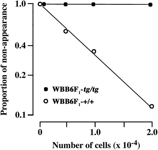 Figure 2. Limiting dilution analysis of mast cell precursors present in bone marrow cells. Various numbers of bone marrow cells derived from WBB6F1-+/+ and -tg/tg mice were directly injected into the dorsal skin of WBB6F1-W/Wv mice. At 5 weeks after injection, the proportion of injection sites at which mast cell clusters did not appear (proportion of nonappearance) was determined and plotted to the number of injected cells. The calculated concentration of mast cell precursors in the WBB6F1-+/+ bone marrow was 10 (8-13 in 95% confidence intervals) among 105 cells. No apparent clusters develop even when 2.0 × 104 bone marrow cells of WBB6F1-tg/tg mice were injected into the skin of WBB6F1-W/Wv mice.