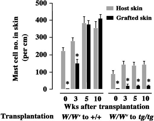 Figure 3. Effect of host genotypes on the number of mast cells that developed in the skin tissues grafted from WBB6F1-W/Wv mice. The skin of WBB6F1-W/Wv mice was grafted to WBB6F1-+/+ mice or WBB6F1-tg/tg mice. The number of mast cells in the skin graft and the surrounding host skin was counted various days after transplantation. The bars represent the mean ± standard error (SE) of 5 mice. In some cases, the SE was too small to be shown by bars. *P < .01 by t test when compared with the values of host skin.