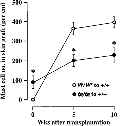 Figure 5. Number of mast cells in skin tissues of WBB6F1-W/Wv or WBB6F1-tg/tgmice grafted to WBB6F1-+/+ recipients. The bars represent the mean ± SE of 5 mice. In some cases, the SE was too small to be shown by bars. *P < .01 by t test when compared with the value of skin graft from WBB6F1-W/Wv mice.