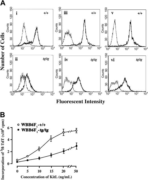 Figure 6. Defective KIT expression and response to KitL in mast cells of WBB6F1-tg/tg mice. (A) Flow cytometry of the surface expression of KIT in mast cells obtained from colonies and BMMCs. Mast cell colonies developed from bone marrow cells (i-ii), and BMMCs cultured in the presence of IL-3 alone (iii-iv) or IL-3 + KitL (v-vi) were harvested and incubated with FITC-conjugated anti-KIT antibody or isotype control. The staining profiles with anti-KIT antibody (thick line) and with isotype control (thin line) were shown. The data were representative of 3 independent experiments. (B) Response to KitL of BMMCs derived from WBB6F1-+/+ or WBB6F1-tg/tg mice. BMMCs were incubated in the medium containing 10 ng/mL IL-3 and various concentration of KitL, and the response to KitL was detected with uptake of 3H-TdT. The bars represent the mean ± SE of 3 experiments. In some cases, the SE was too small to be shown by bars.