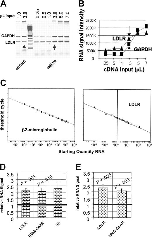 Figure 1. The abundance of RNAs encoding cholesterol import (LDLR) and cholesterol synthesis-regulating (HMG-CoAR, SS) proteins are substantially increased by mevastatin treatments in NB4 AML cells. NB4 cells were incubated for 18 to 24 hours with 12.5 μM mevastatin, total cellular mRNAs were prepared from untreated and treated cells, and oligo(dT)–primed cDNAs were synthesized. For semiquantitative RT-PCR, LDLR intron-spanning primer pairs were multiplexed with GAPDH primers using conditions optimized to ensure amplification in the linear range for both products, as determined by image analysis of ethidium bromide-stained agarose gels (A-B). Arrows indicate 3-μL cDNA inputs. (C) For real-time RT-PCR, β2-microglobulin DNA and NB4 cell line RNAs were serially diluted into yeast RNA and processed to create standard curves. Quenched, fluorescent internal probes allowed the amount of PCR amplicon created to be quantitated per cycle as fluorescence on an ABI Prism 7700 detector. Standard curves were generated for β2-microglobulin using plasmid DNA and for β2-microglobulin, LDLR, and HMG-CoAR using the NB4 cell line. Standard curves are shown that plot the cycle number at which signals were detected above threshold (y-axis) against the starting quantities of β2-microglobulin plasmid (10-108 copies/μL) diluted into yeast RNA (x-axis) or against the starting quantity of NB4 cell RNA (0.01-100 ng/μL). (D) Methods similar to those used in panels A and B were used to optimize HMG-CoAR and SS RT-PCRs, as described more completely in “Materials and methods.” When standardized to GAPDH signals and normalized to untreated signals, mean LDLR and HMG-CoAR signals were significantly increased in mevastatin-treated samples (5 independent assays), and mean SS signals (n = 3) were also increased. (E) RNA quantities were normalized based on β2-microglobulin levels in real-time PCR, as shown in panel C, and LDLR and HMG-CoAR mRNA levels in mevastatin-treated and untreated NB4 cells are expressed relative to the untreated NB4 cell line controls. Means are plotted in panels C and E, and error bars represent SEM. Wilcoxon rank sum tests were used to compare means of treated and untreated AML samples along with 2-tailed tests of significance.