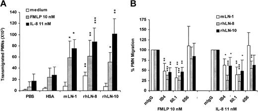 Figure 5. Promotion of neutrophil migration by laminin 8 and other laminin isoforms and participation of integrins. (A) Neutrophil migration through 3-μm pore filters precoated with phosphate-buffered saline (PBS), human serum albumin (HSA), mouse laminin 1 (mLN-1), recombinant human laminin 8 (rhLN-8), and recombinant human laminin 10 (rhLN-10). (B) Effect of mAbs to integrins on neutrophil migration through filters precoated with mLN-1, rhLN-8, and rhLN-10. mIgG (negative control), mAb IB4 (INTβ2, CD18), mAb 60.1 (INTαM, CD11b), and mAb 6S6 (INTβ1, CD29) were used. Transmigration was assessed microscopically after incubating the cells (250 × 103) for 1.5 hours at 37° C without chemoattractant or in the presence of either FMLP (10 nM) or IL-8 (11 nM). Filters were coated with proteins at 20 μg/mL and blocked with 2% polyvinylpyrrolidone (PVP). Adhesion-blocking mAbs were used at 20 μg/mL. Mean and SD are shown. P values (*P < .05; **P < .01; ***P < .001) compare laminin isoforms with HSA (A), and mAbs with mIgG (defined as 100% in all experiments) on each laminin isoform (B). Each substrate protein was tested 4 to 5 times.