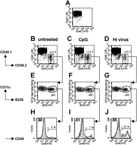 Figure 2. Migration and maturation of pDCs transferred into the host spleen. CD11c+ spleen cells purified from untreated (B,E,H), CpG-injected (C,F,I), or heat-inactivated (HI) influenza virus-injected (D,G,J) Ly5.2+ 129sv mice were intravenously transferred into Ly5.1+ C57BL/6 recipient mice. Fifteen hours later, mice were killed and total DCs were isolated from spleens and labeled with either CD11c, B220, CD45.1, and CD45.2 mAbs or CD11c, B220, CD45.1, and CD40 mAbs and analyzed. (A) Control Ly5.1 mouse that did not receive Ly5.2+ DCs. (B-D) Ly5.2+ cells (labeled with CD45.2 mAbs) were found in the spleens of Ly5.1 recipient mice. (E-G) Analysis of CD11c and B220 expression by recovered Ly5.2+ cells. (H-J) Analysis of CD40 expression by Ly5.1–CD11c+B220+ cells. For all analyses, we checked that the Ly5.1– population corresponded to the injected Ly5.2+ DCs. Gray histograms represent CD40 expression by unstimulated endogenous Ly5.1+ pDCs. Open histograms represent CD40 expression by transferred Ly5.2+ pDCs. Percentages indicate the proportion of transferred pDCs that strongly up-regulated the expression of CD40 at their surface. The mean intensity of the fluorescence signal of the main peak of transferred DCs is indicated in the top left corners of histograms. Results are representative of 2 independent experiments. FITC indicates fluorescein isothiocyanate.