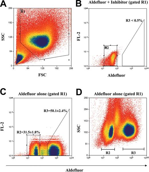 Figure 1. Identification and isolation of purified ALDHhiLin- and ALDHloLin- cell populations. Representative flow cytometric analysis of ALDH activity on lineage-depleted (Lin-) UCB cells. (A) Human UCB Lin- cells were selected according to forward scatter (FSC) and side scatter (SSC) properties using the gated region R1 to remove residual platelet and red cell contamination. (B) Lin- cells incubated with Aldefluor substrate and the specific inhibitor of ALDH, diethylaminobenzaldehyde (DEAB), were used to establish baseline fluorescence of these cells and to define the ALDHhi region (R3) as less than 0.5% of total events. (C) Incubation of Lin- cells with Aldefluor substrate in the absence of inhibitor induced a shift in FL1 fluorescence defining the ALDHlo (R2 = 31.5% ± 1.8%) and ALDHhi (R3 = 50.1% ± 2.4%) purified populations selected on the basis of intracellular ALDH conversion of Aldefluor substrate. (D) Lin- cells incubated with Aldefluor substrate were reanalyzed by using FL1 fluorescence versus SSC to ensure that mononuclear cells with equivalent side scatter properties were selected by sorting. These data represent the mean ± SEM on experiments performed with Lin- cells isolated from UCB samples from 9 different donors (n = 9).