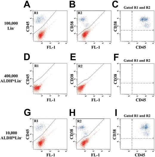 Figure 3. Flow cytometric detection of human cells in the bone marrow of NOD/SCID β2M null mice that received transplants with Lin-, ALDHloLin-, or ALDHhiLin- cells. Representative flow cytometric analysis of NOD/SCID β2M null mice that received transplants with (A-C) 1 × 105 Lin-, (D-F) 4 × 105 ALDHloLin-,or (G-I) 1 × 104 ALDHhiLin- cells. Mouse BM, spleen, and peripheral blood were extracted 7 to 8 weeks after transplantation, and human cells were detected by coexpression of the pan-leukocyte marker CD45 (R1) with CD38 (R2) in mice injected with ALDHhiLin- cells. Representative mice showed 18.0% human CD45+CD38+ cells after the transplantation of 105 Lin- cells and 16.5% human CD45+CD38+ cells after the transplantation of 104 ALDHhiLin- cells. Human cells were not detected in mice that received transplants with 4 × 105 ALDHloLin- cells.