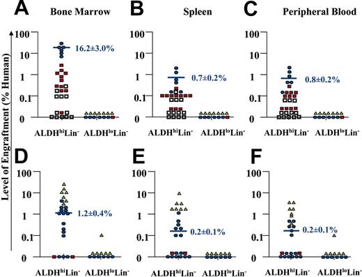 Figure 4. Summary of human cell repopulation in the BM, spleen, and peripheral blood of NOD/SCID and NOD/SCID β2M null mice that received transplants with ALDHhiLin- and ALDHloLin- cells. A summary of the level of human engraftment in the BM, spleen, and peripheral blood of NOD/SCID β2M null mice (n = 43) (A-C) or NOD/SCID mice (n = 36) (D-F) that received transplants with purified ALDHhiLin- and ALDHloLin- cells is shown. Mouse BM, spleen, and peripheral blood were extracted 7 to 8 weeks after transplantation, and human cells were detected by coexpression of the pan-leukocyte marker CD45 with CD38. Open squares represent mice injected with 2 × 102 to 1 × 103 purified cells, red squares represent mice injected with 2 × 103 to 1 × 104 purified cells, blue circles represent mice injected with 2 × 104 to 1 × 105 purified cells, and green triangles represent mice injected with 2 × 105 to 4 × 105 purified cells. Horizontal bars represent the average level of human engraftment (mean ± SEM) detected in the tissues of each mouse corresponding to the 2 × 104 to 105 dose range in each mouse strain. Human SCID-repopulating cells were observed exclusively within the ALDHhiLin- fraction. Human cell engraftment was consistently achieved with as few as 500 ALDHhiLin- cells in the NOD/SCID β2M null mouse, whereas more than 104 ALDHhiLin- cells were needed to engraft the parental NOD/SCID strain. Mice received transplants with the cells from 18 UCB samples. Purified cells from 2 UCB samples were pooled to achieve doses of 4 × 105 ALDHloLin- cells.